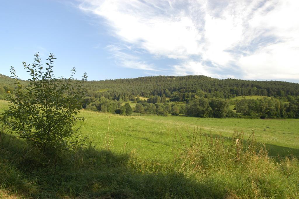 Ferienanlage Reinsberger Dorf Plaue (Thuringia) Exterior foto